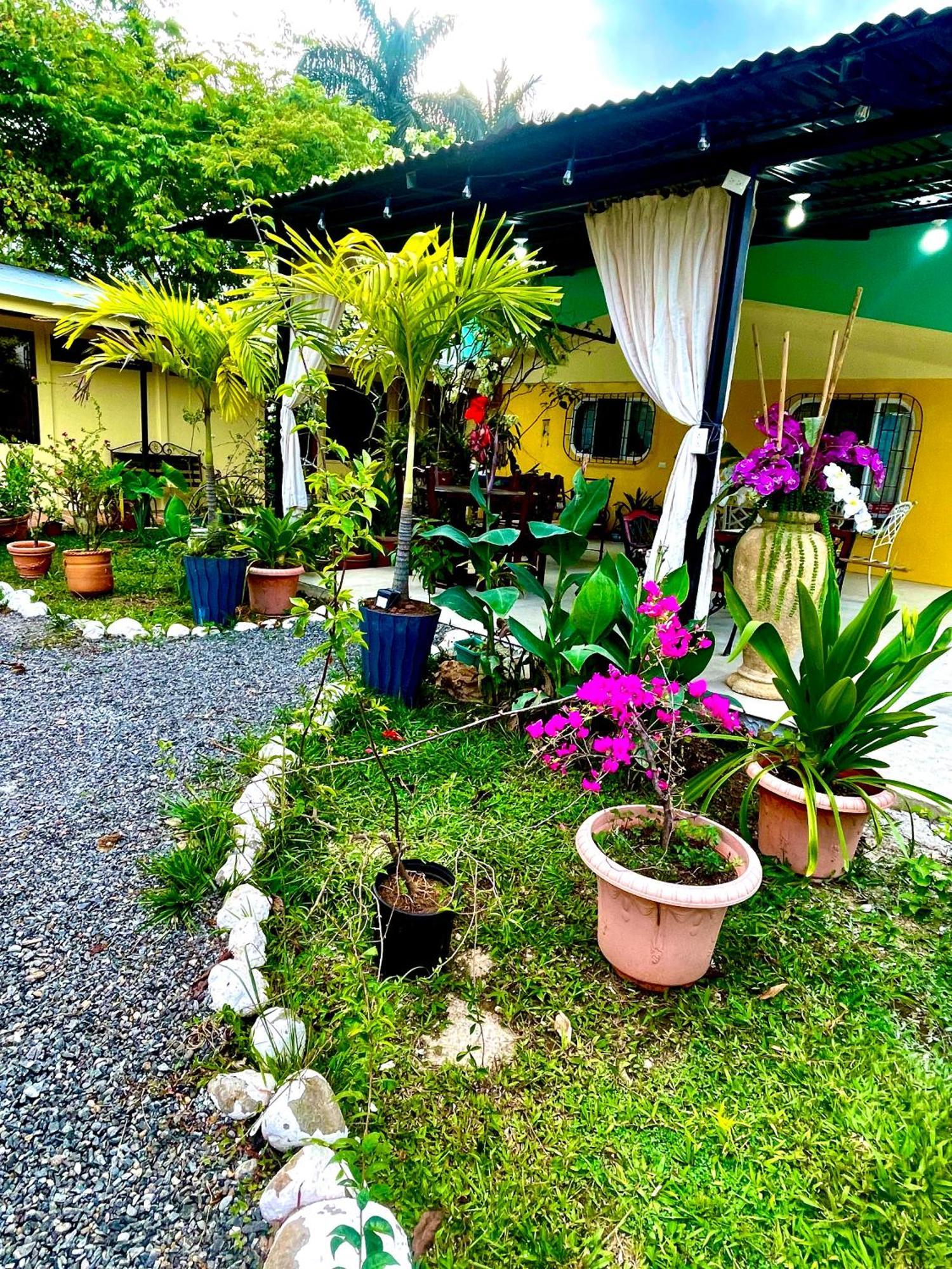 Hotel Tierra De Volcanes La Fortuna Buitenkant foto